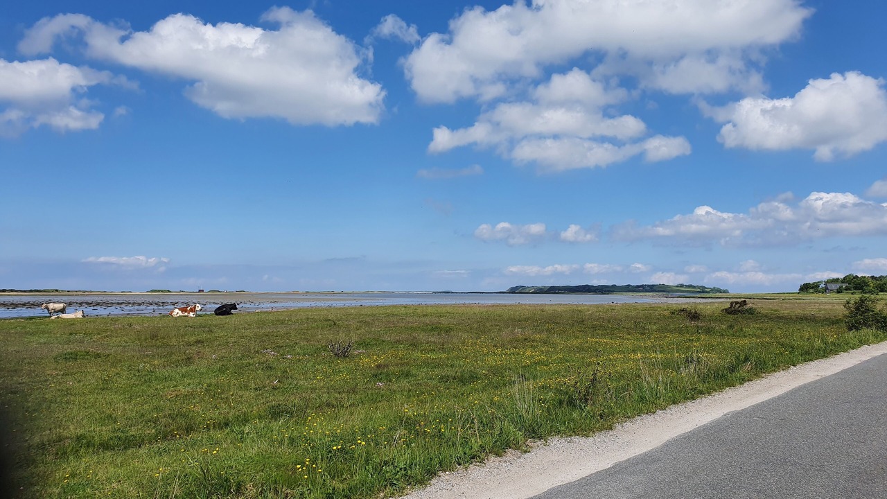 Photo of Others in Havnsø