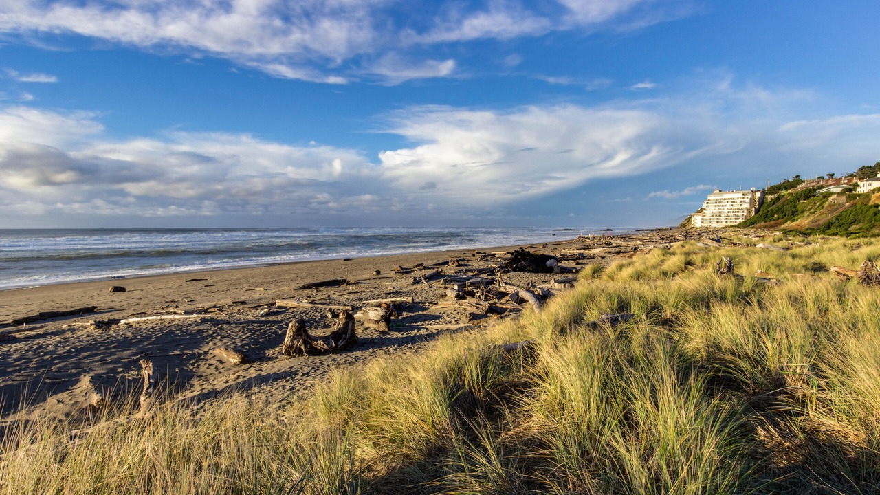 Photo of Others in Lincoln City