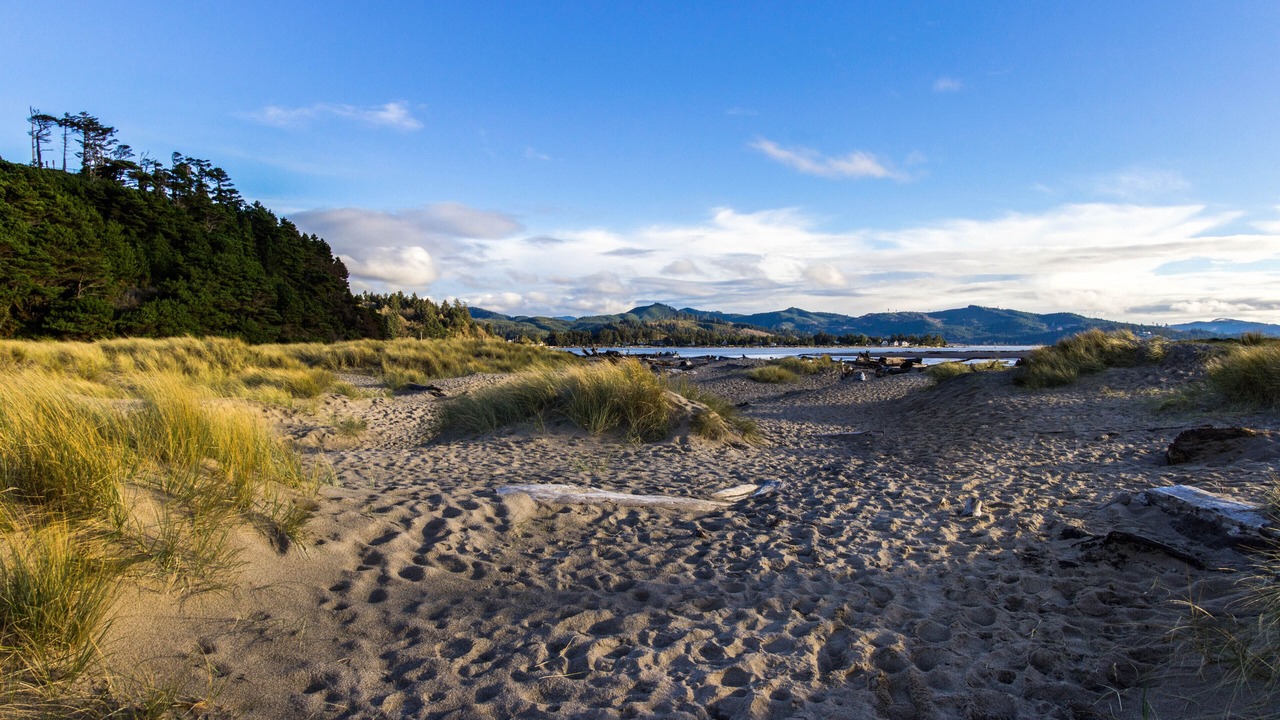 Photo of Others in Lincoln City