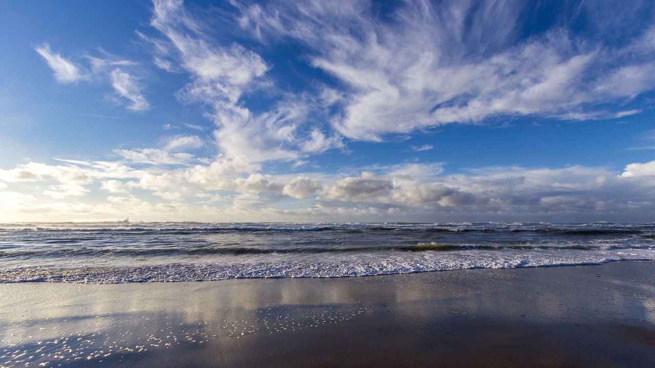 Photo of Others in Lincoln City