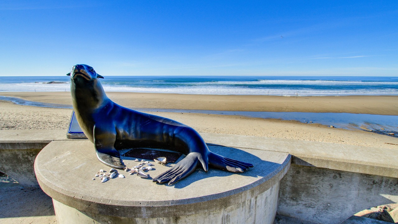 Photo of Others in Lincoln City