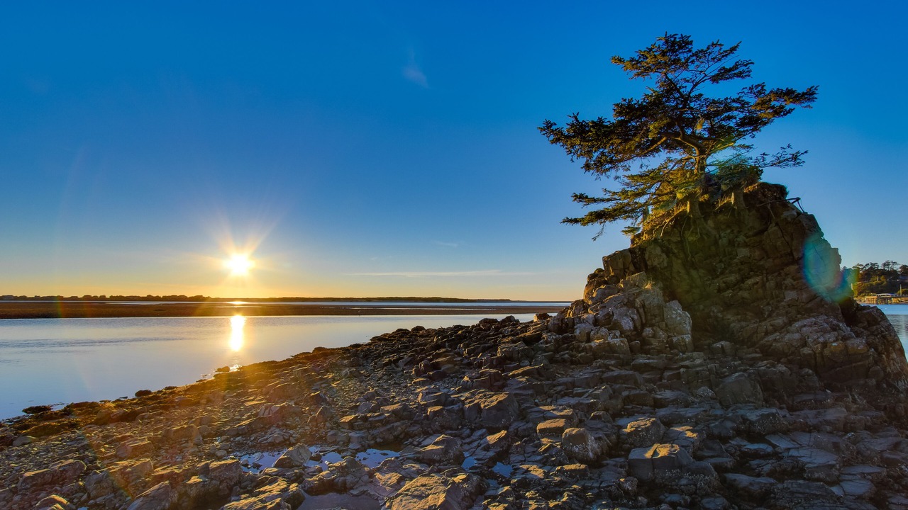 Photo of Others in Lincoln City