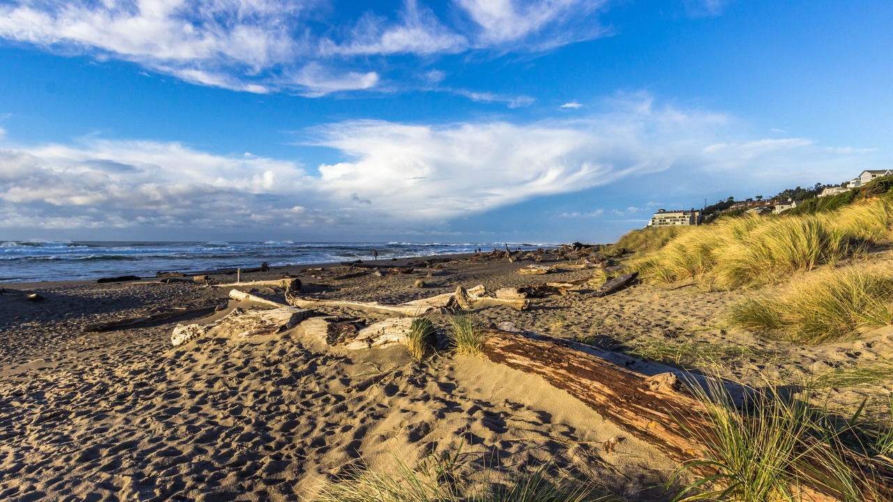 Photo of Others in Lincoln City