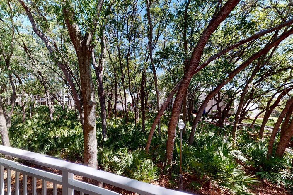 Photo of Others in Jekyll Island