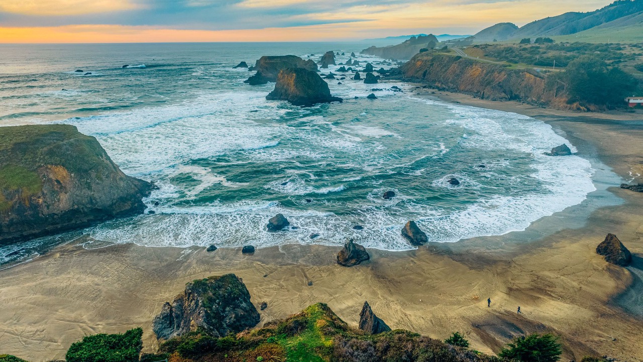 Photo of Others in Fort Bragg