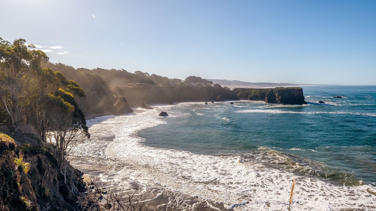 Photo of Others in Fort Bragg