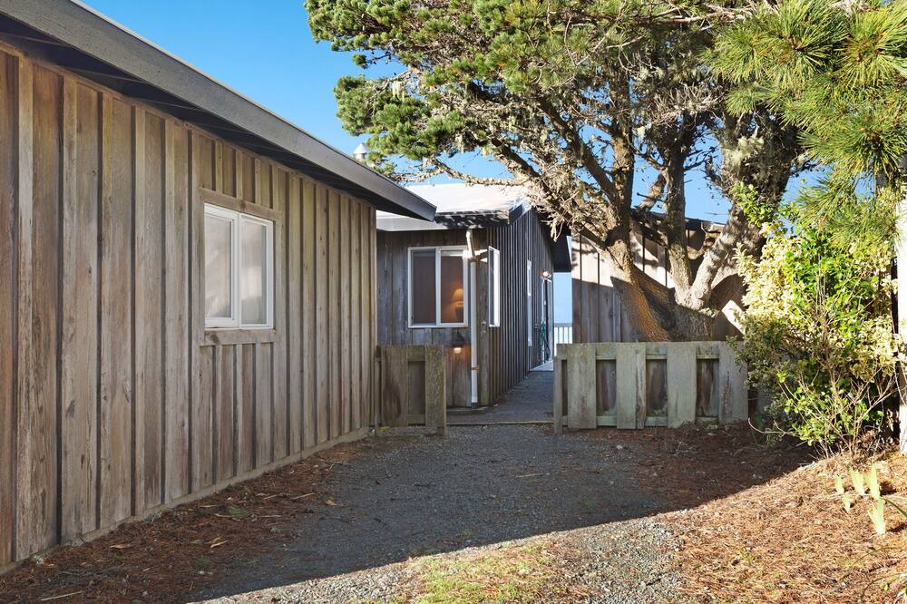 Photo of Others in Bandon