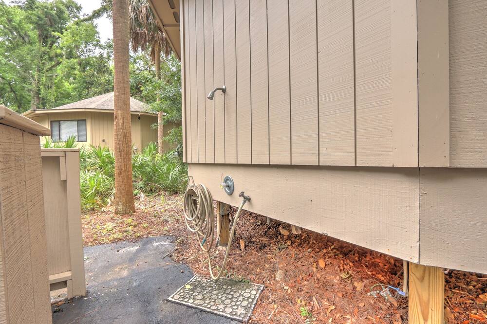 Photo of Outdoor in Night Heron