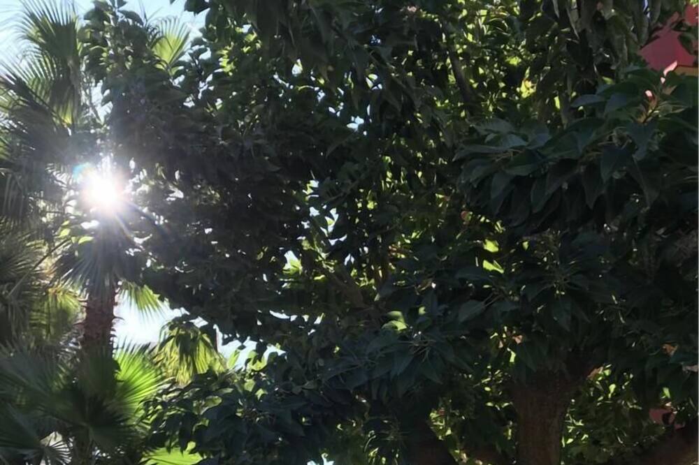 Photo of Outdoor in Playa de San Juan