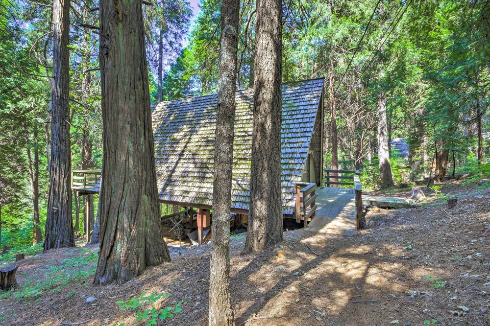 Photo of Outdoor in Pollock Pines