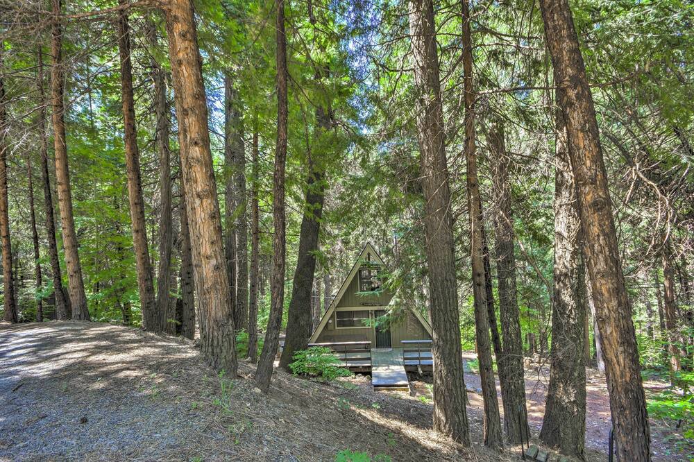 Photo of Outdoor in Pollock Pines