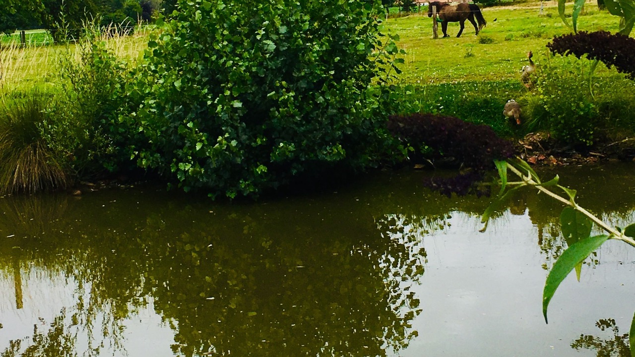 Photo of Outdoor in Esquelbecq