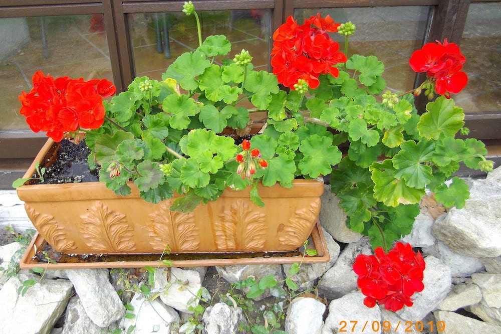 Photo of Outdoor in Saint-Vallier