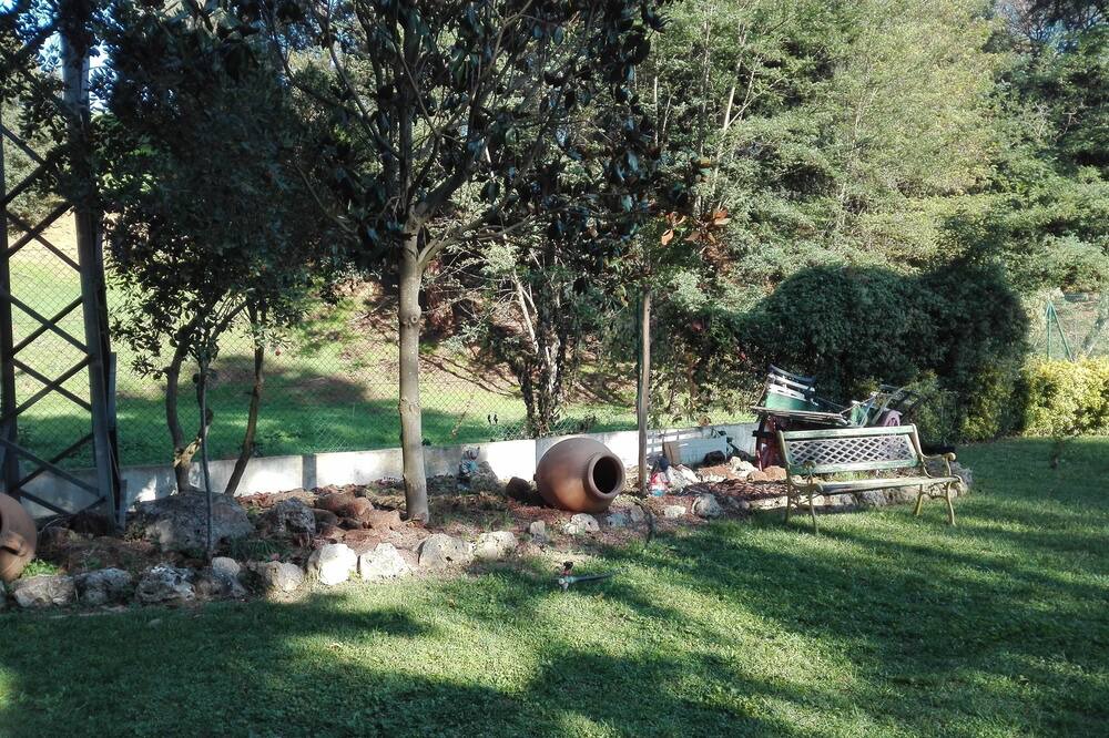 Photo of Outdoor in Sant Antoni de Vilamajor
