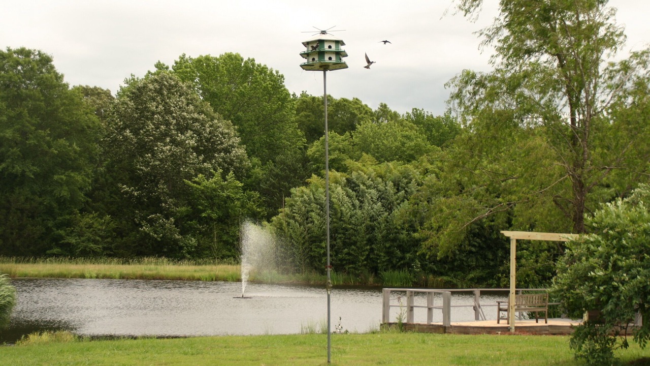 Photo of Outdoor in Coldwater