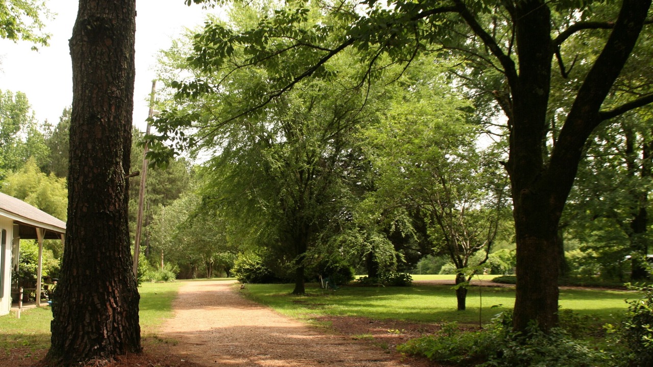 Photo of Outdoor in Coldwater