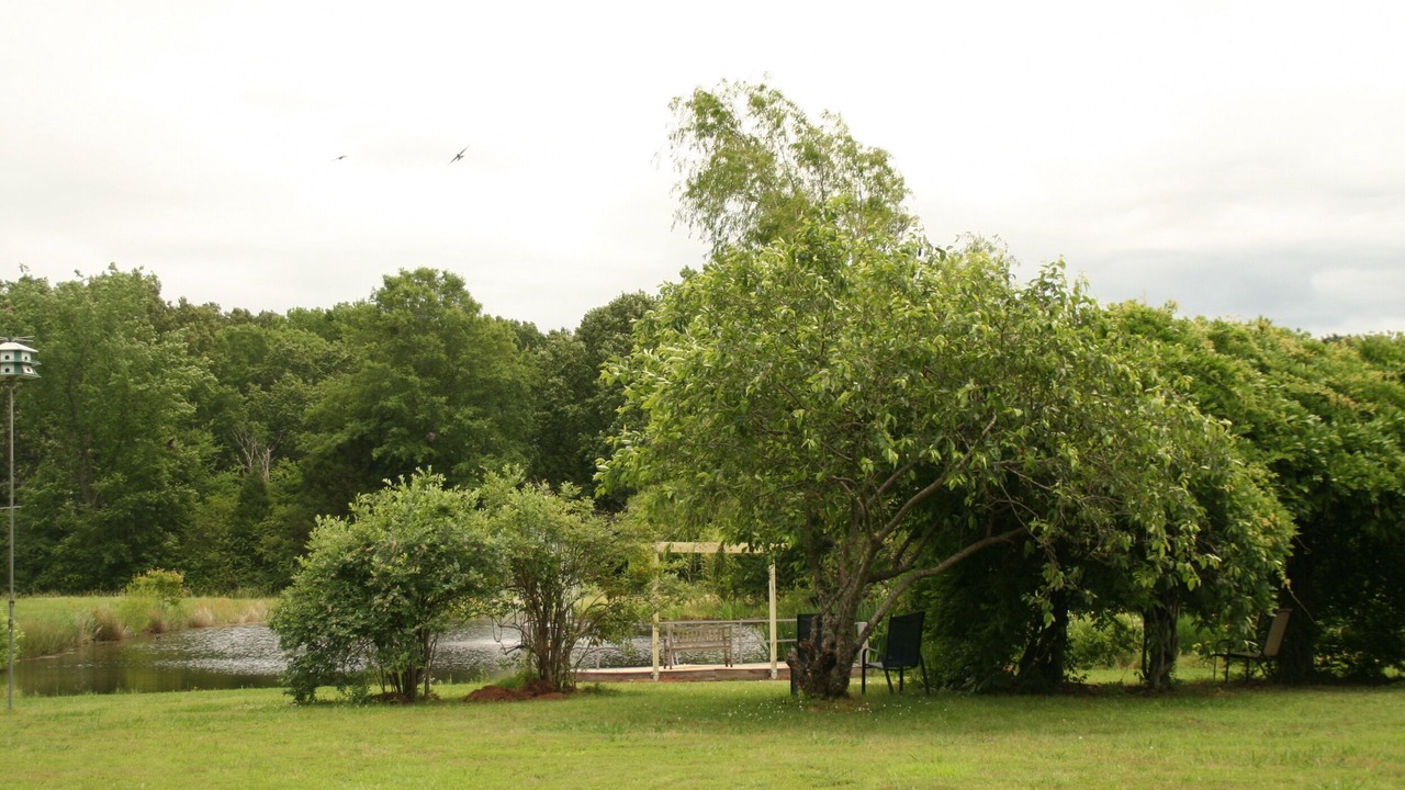 Photo of Outdoor in Coldwater