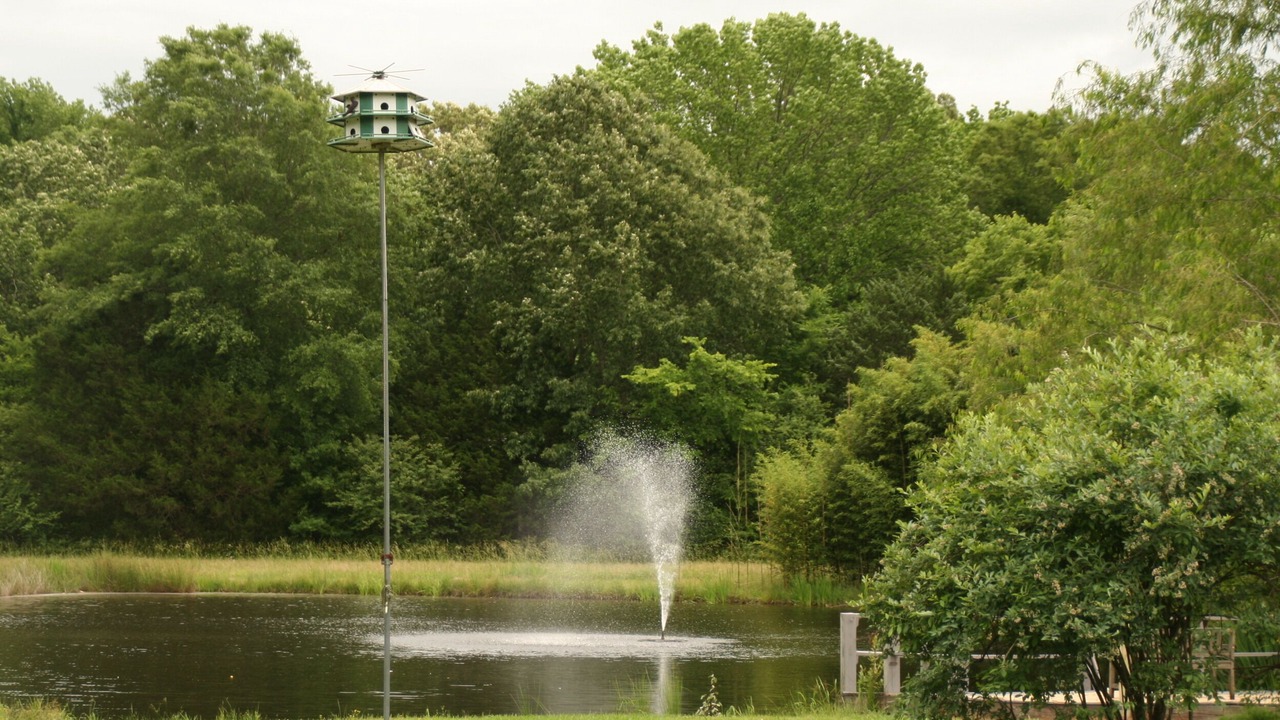 Photo of Outdoor in Coldwater