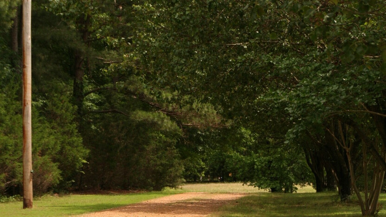 Photo of Others in Coldwater