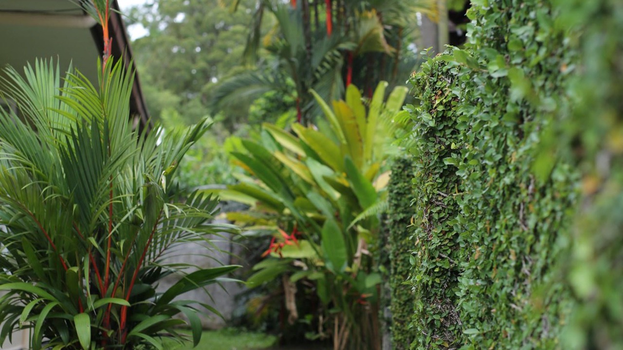 Photo of Outdoor in Ampang Jaya