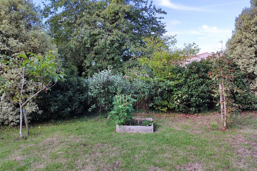 Photo of Outdoor in St Benoist-sur-Mer