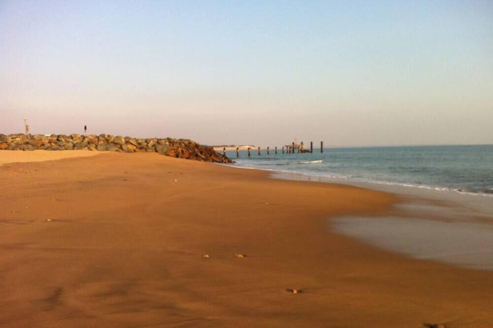 Photo of Others in St Benoist-sur-Mer