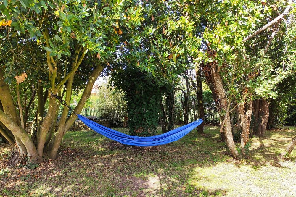 Photo of Outdoor in St Benoist-sur-Mer
