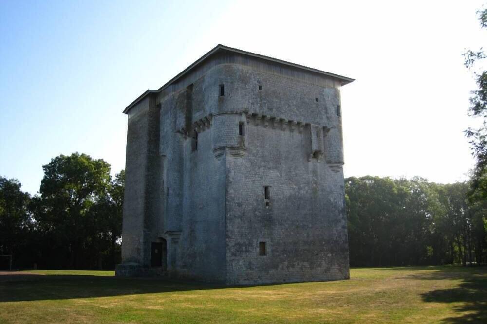 Photo of Outdoor in St Benoist-sur-Mer