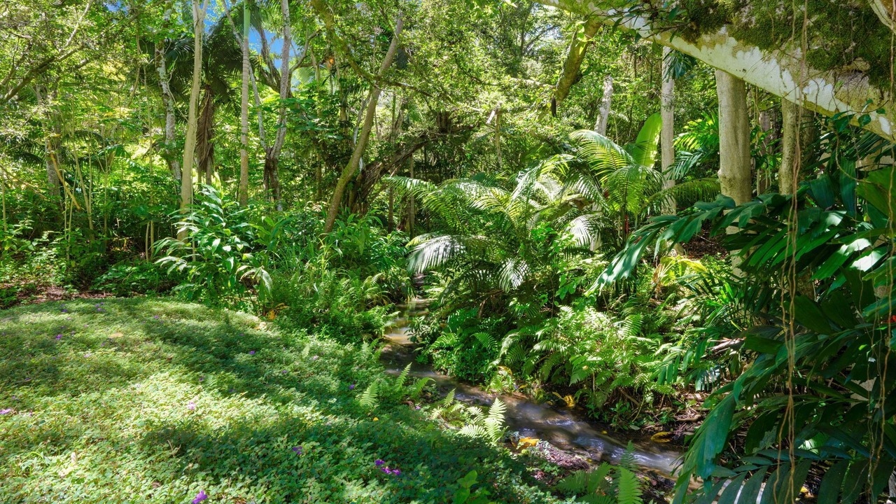 Photo of Outdoor in Princeville