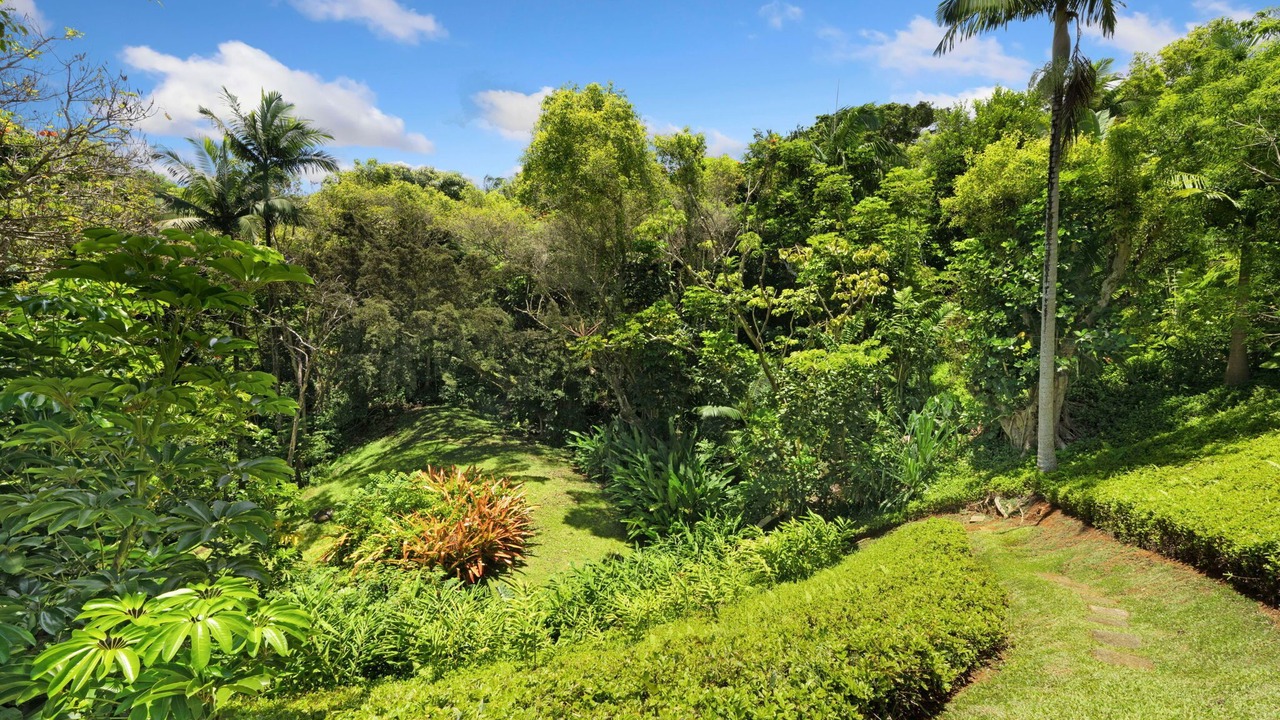 Photo of Outdoor in Princeville