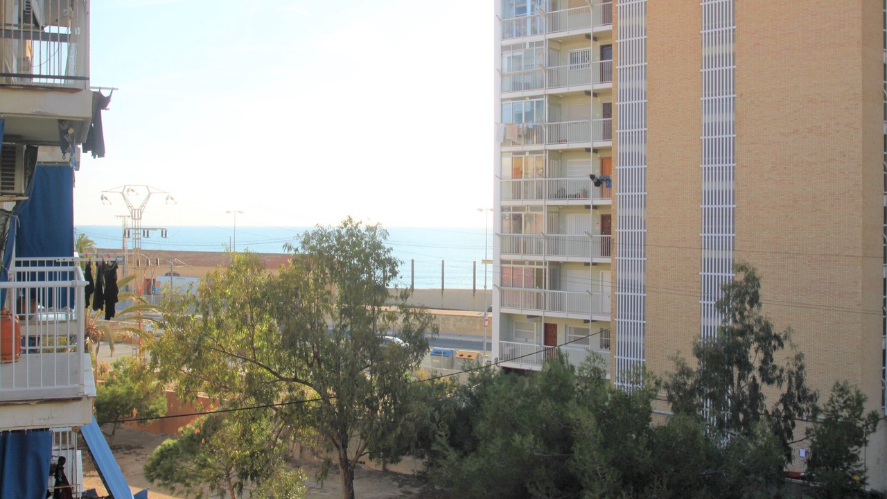 Photo of Others in Vista Hermosa
