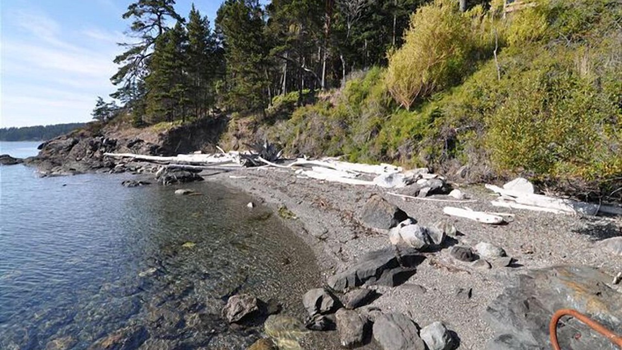 Photo of Outdoor in Olga