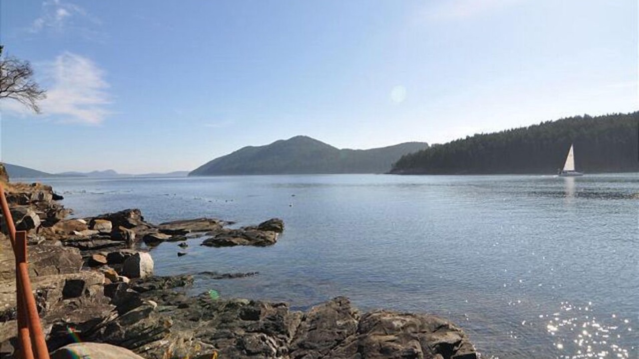 Photo of Others in Olga