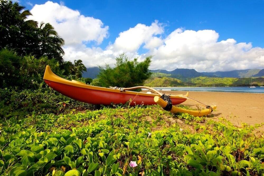 Photo of Others in Hanalei