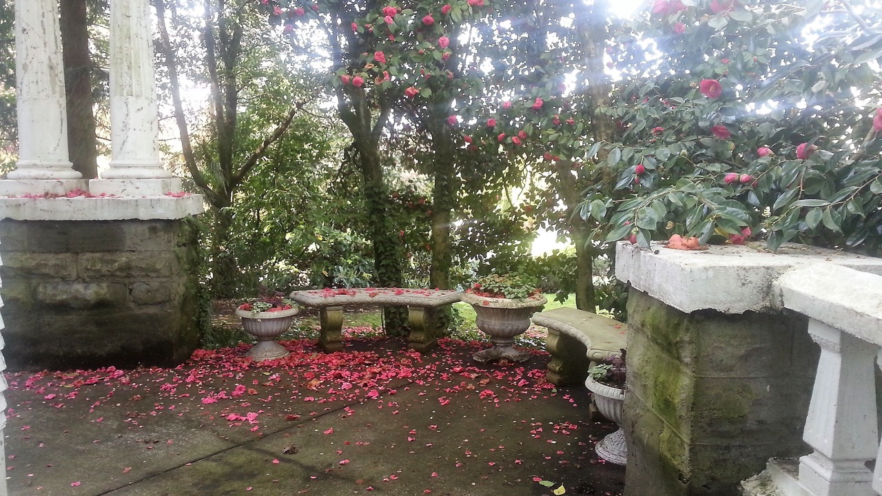 Photo of Patio Balcony in Richmond