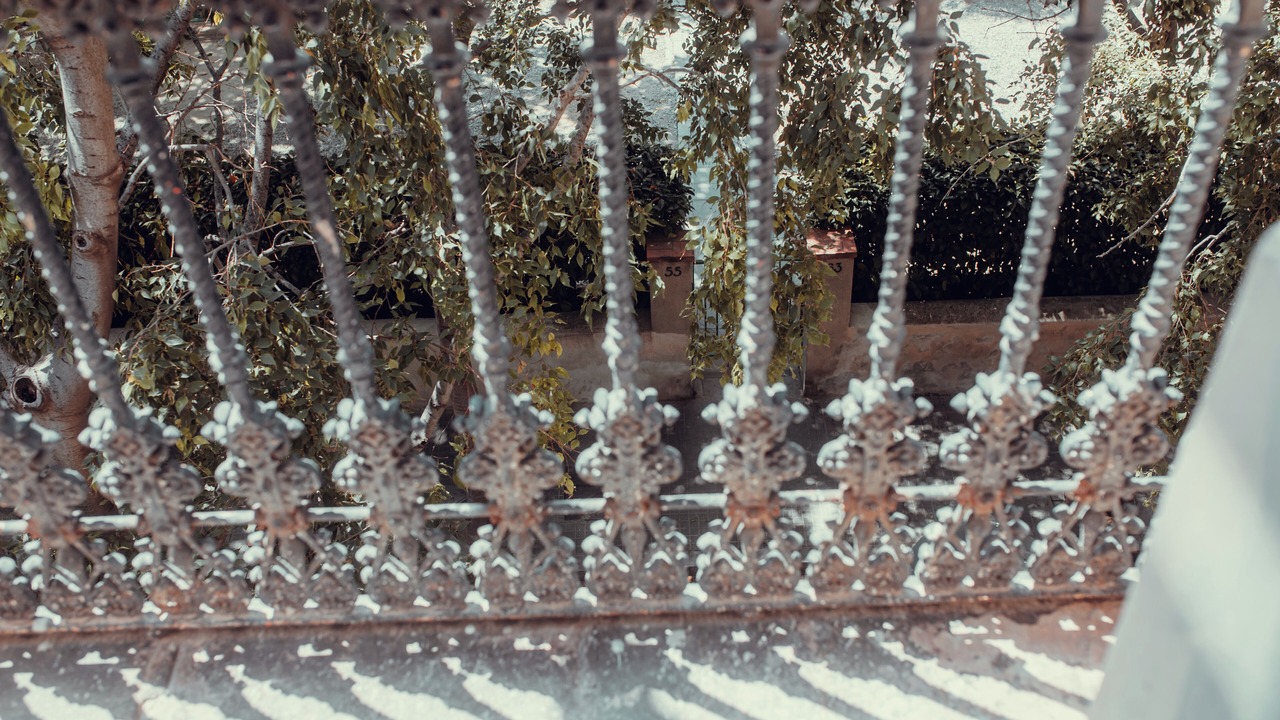 Photo of Patio Balcony in Hostafrancs