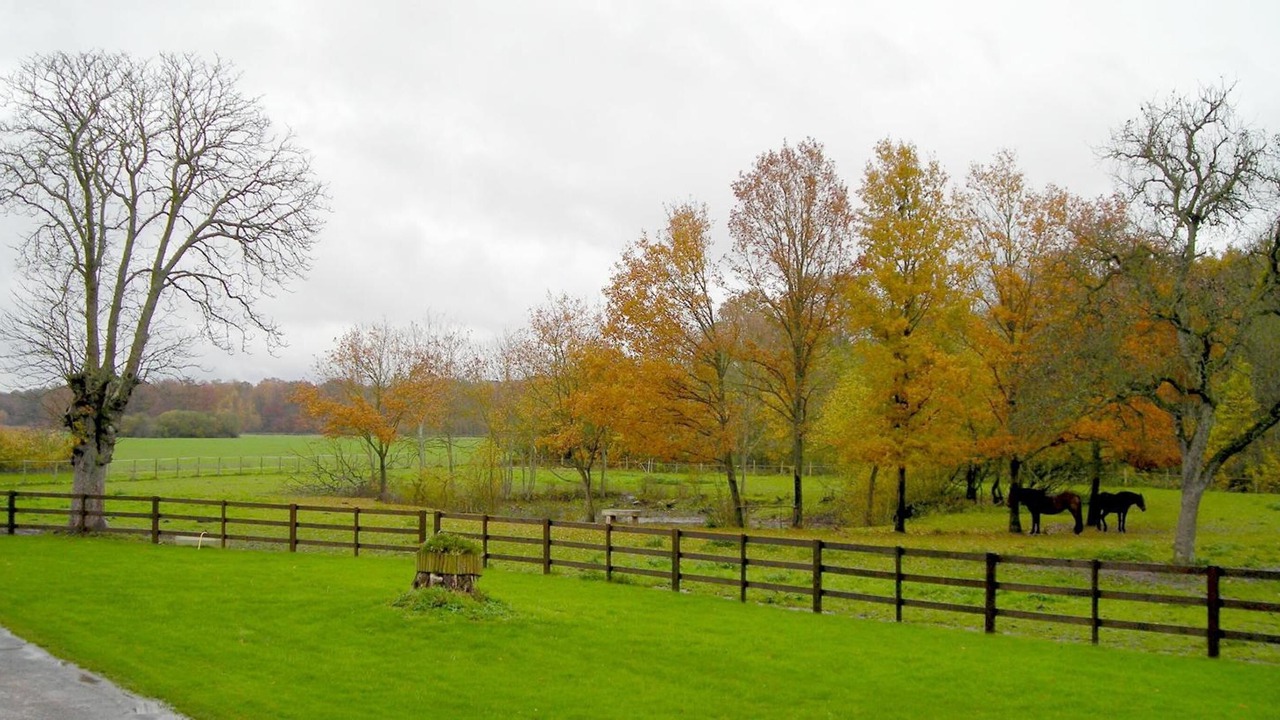 Photo of Outdoor in Villiers-en-Biere