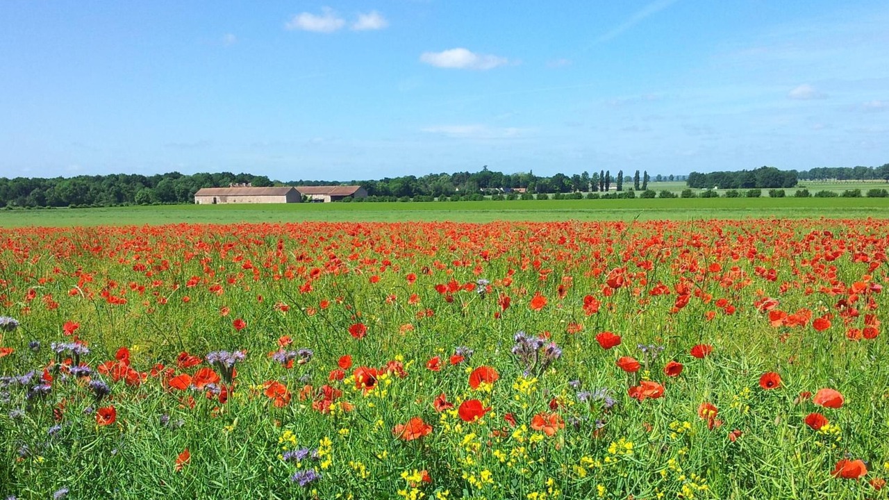Photo of Outdoor in Villiers-en-Biere