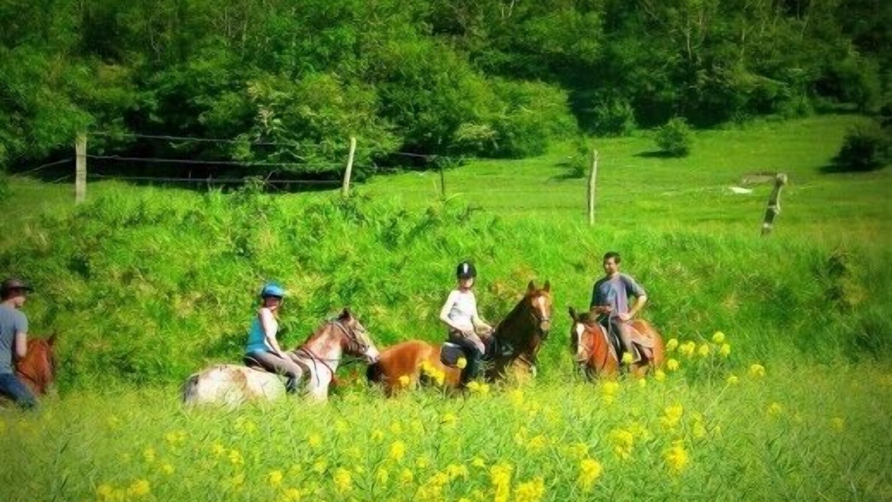 Photo of Others in Bures-en-Bray