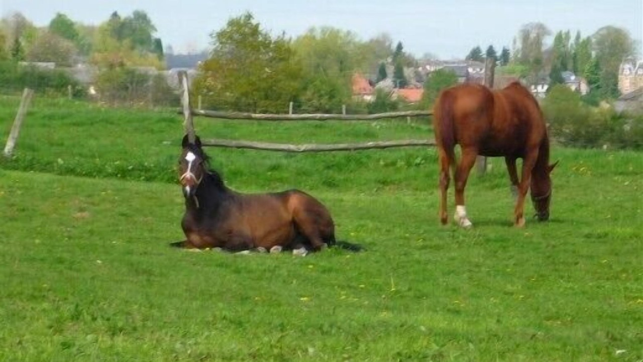 Photo of Outdoor in Bures-en-Bray
