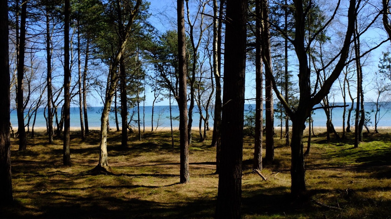 Photo of Outdoor in Faxe