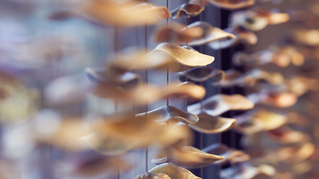 Photo of Others in Financial District