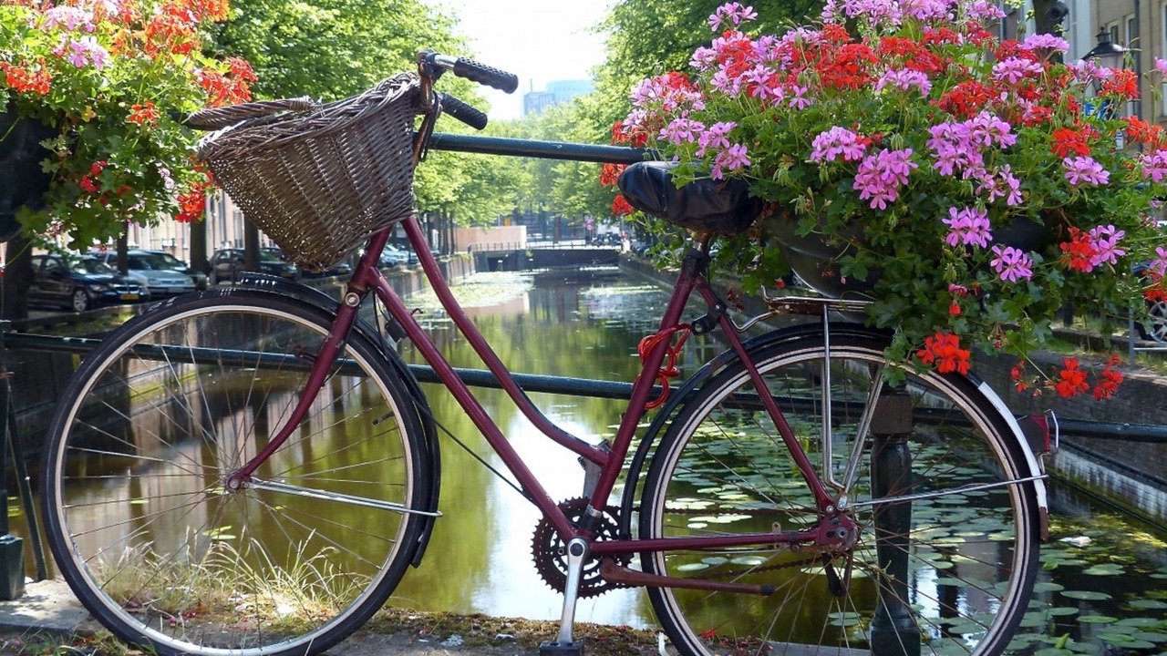Photo of Outdoor in Amboise