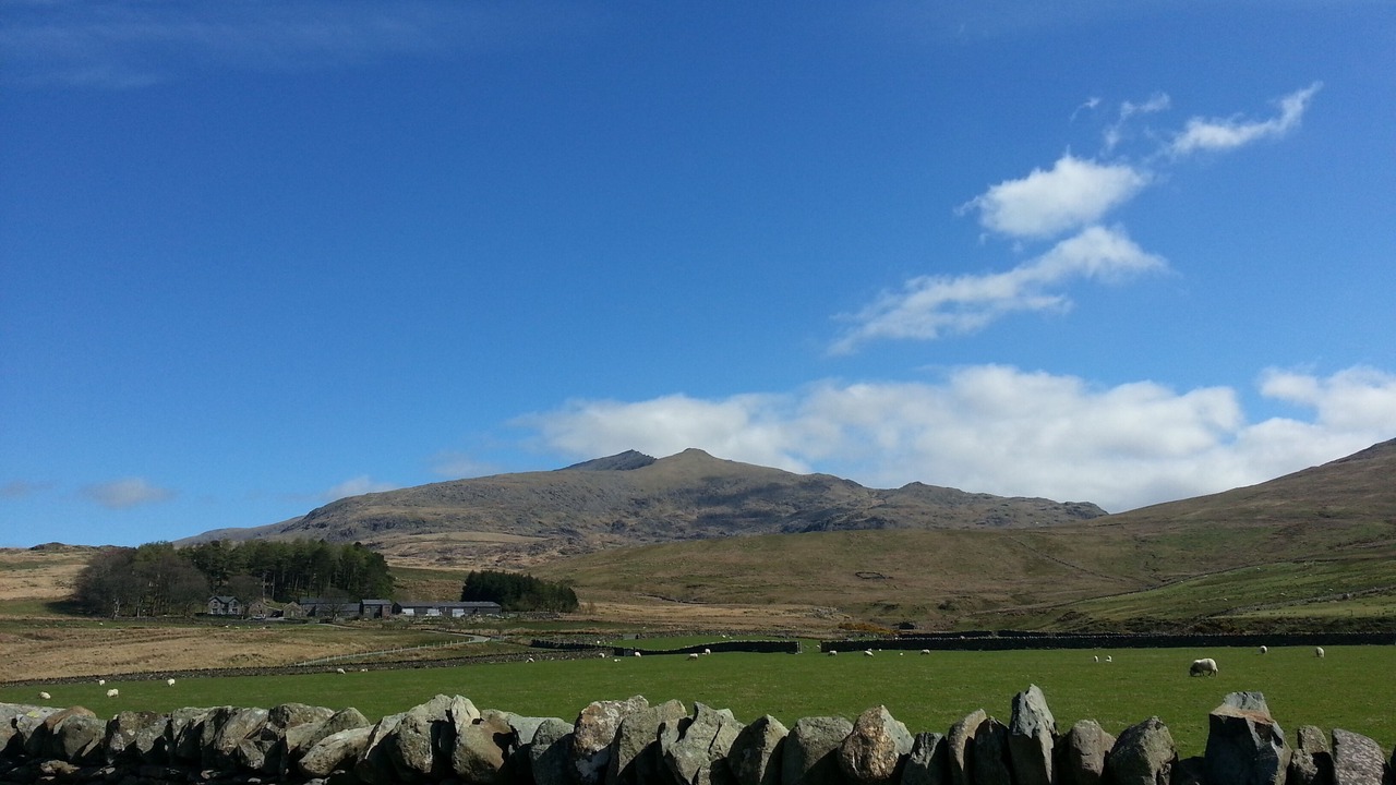 Photo of Others in Beddgelert