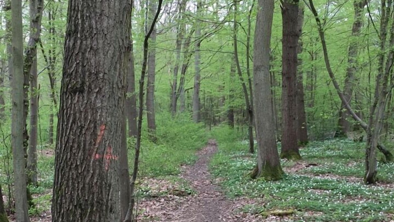 Photo of Others in Hoddesdon