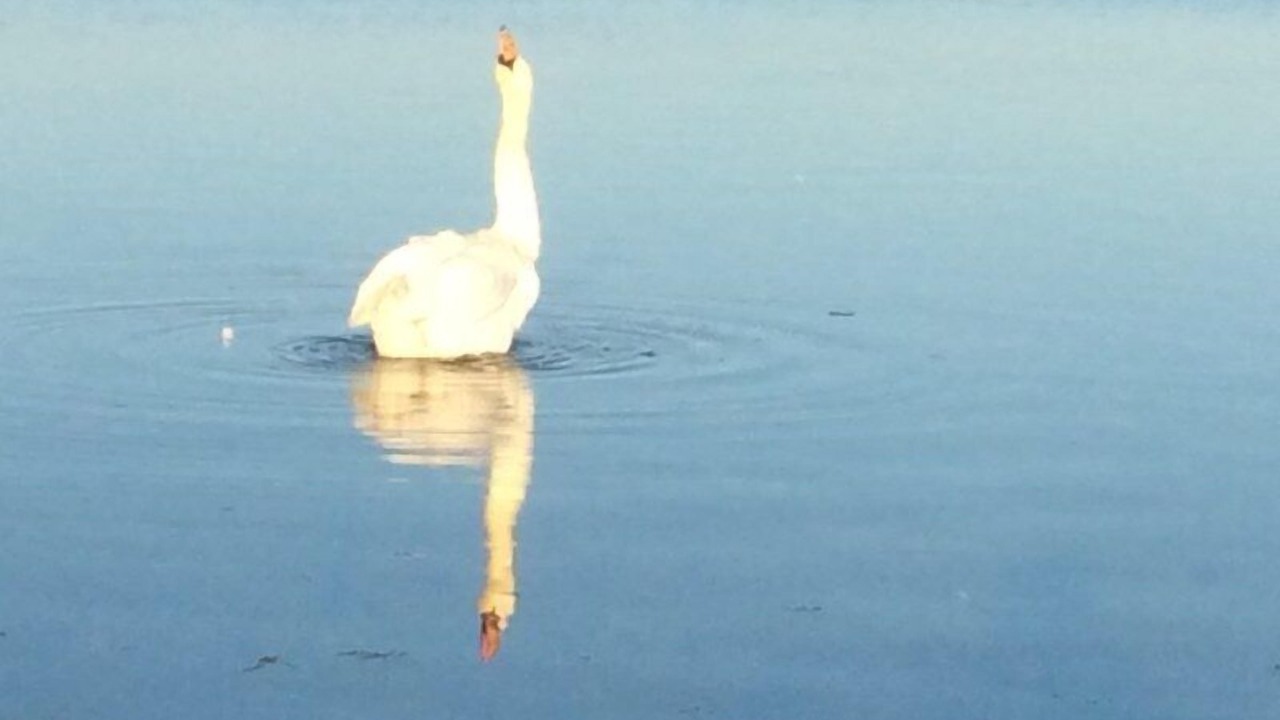Photo of Outdoor in Nakskov