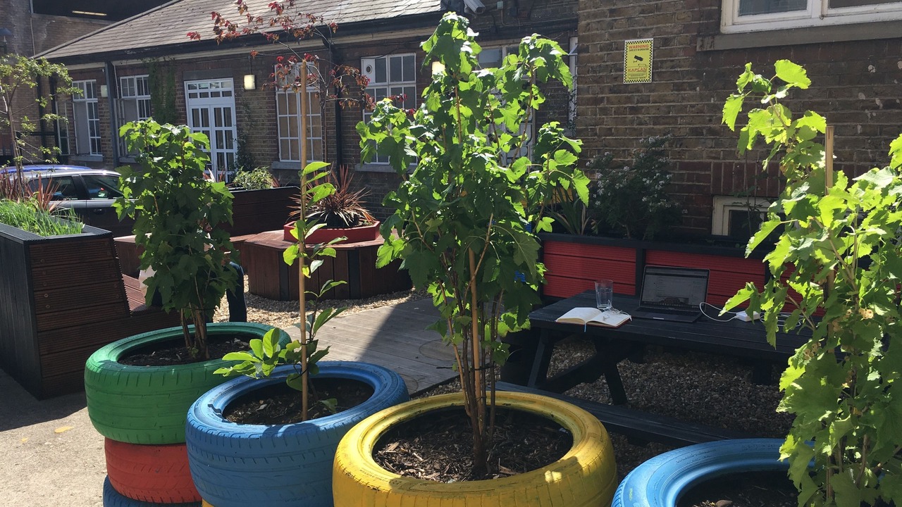 Photo of Patio Balcony in Wood Green