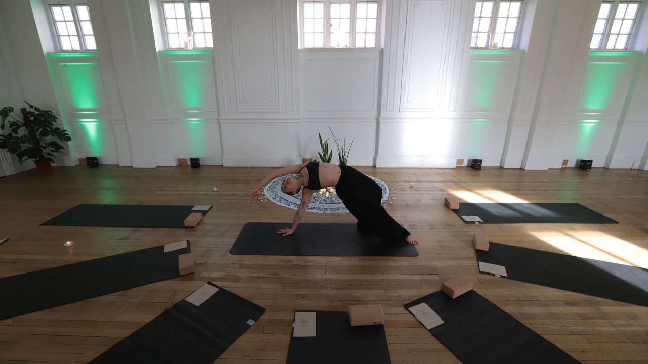 Photo of Others in Wood Green