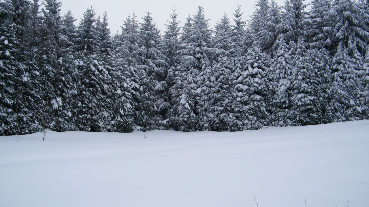 Photo of Others in Grandval