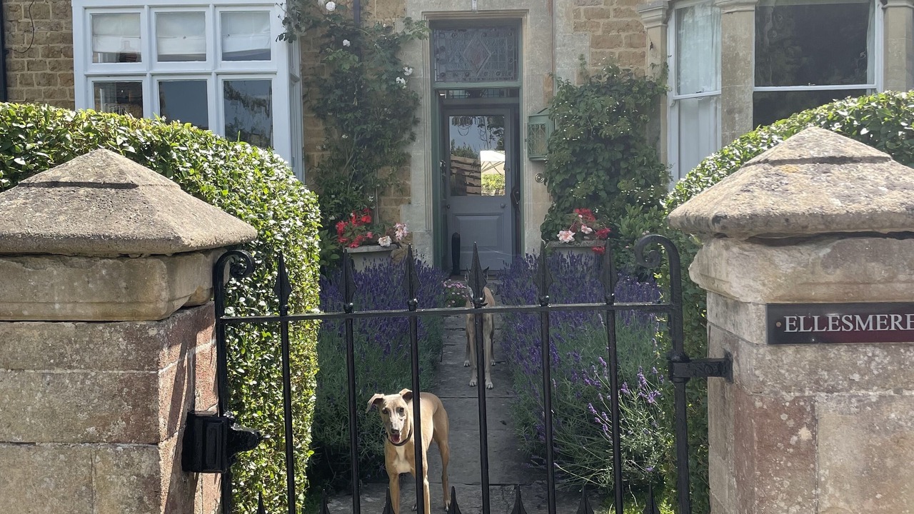 Photo of Outdoor in Castle Cary